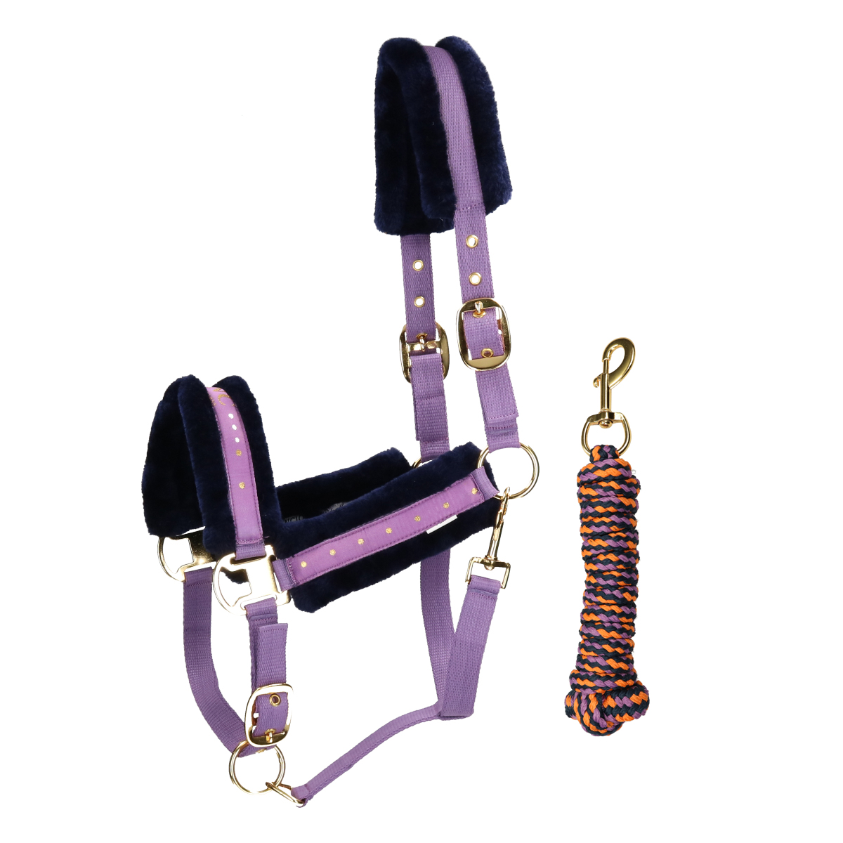 Halsterset La Valencio Lvsquirrel Paars, PAARD in paars