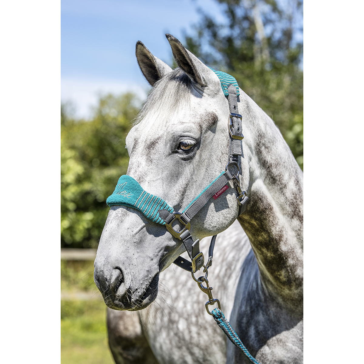 Lemieux Vogue Fleece Headcollar & Rope Peacock - Full