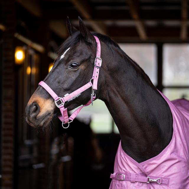 Halsterset Paardenpraat By Ej 3.0 Roze-grijs