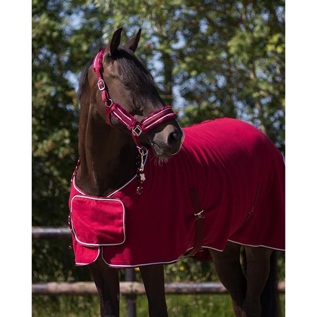 Halsterset QHP Dolci Rood-zilver
