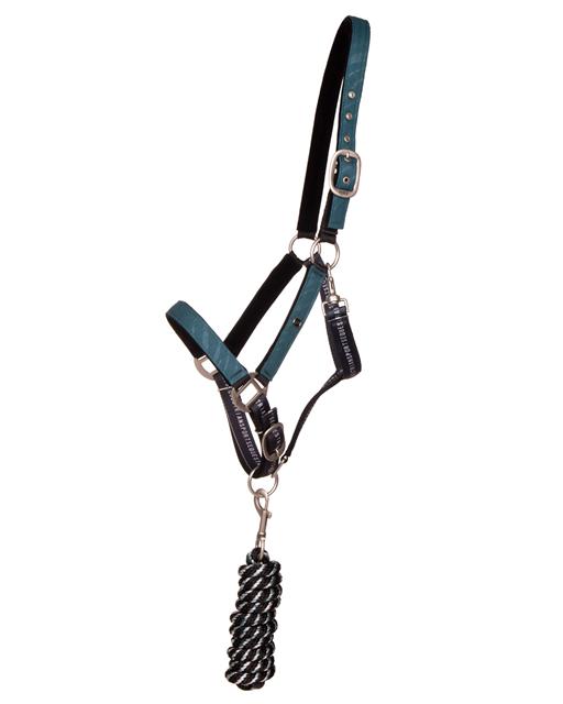 Halsterset QHP Turnout Collection Turquoise