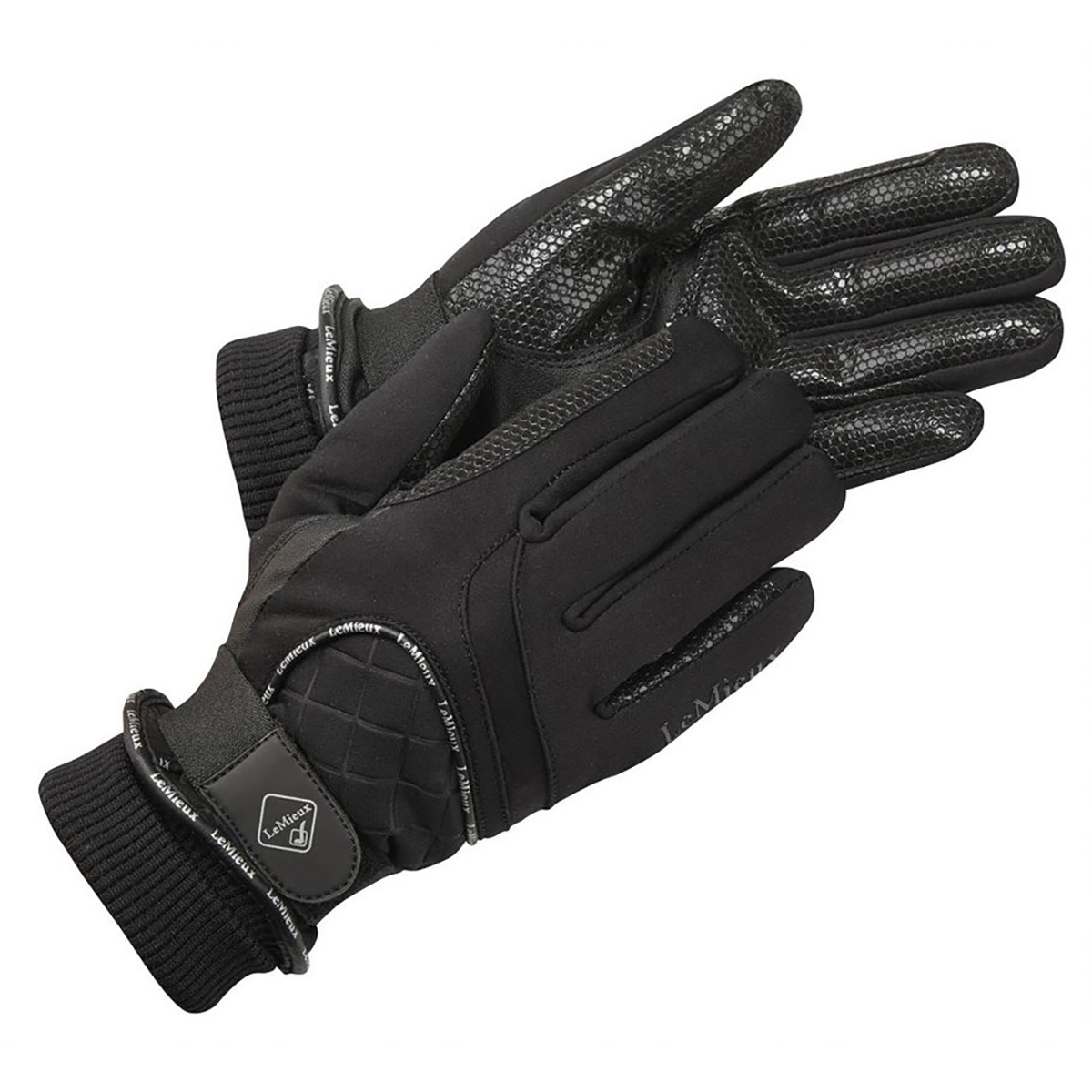 Handschoenen Lemieux Waterproof, S in zwart