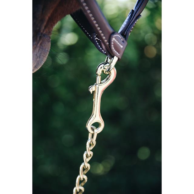 Hengstenketting Kentucky 