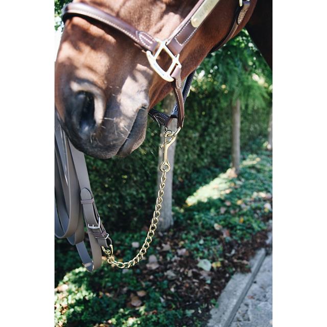 Hengstenketting Kentucky 