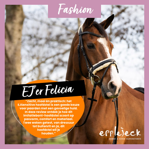 Hét hoofdstel voor paarden met een gevoelige huid – Product review 