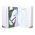 Hobby Horse Knutselboek 