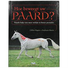 Hoe Beweegt Uw Paard? 
