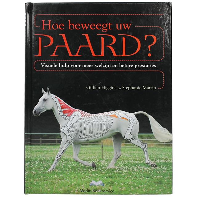 Hoe Beweegt Uw Paard? 
