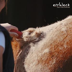 Hoe help ik mijn paard te verharen?
