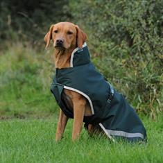 Hondendeken Bucas Green Line 50 gr Donkergroen