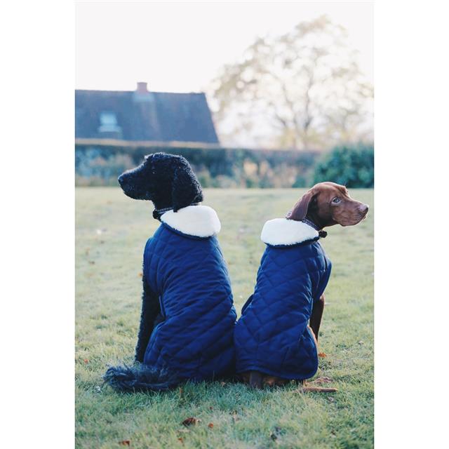 Hondendeken Kentucky Donkerblauw