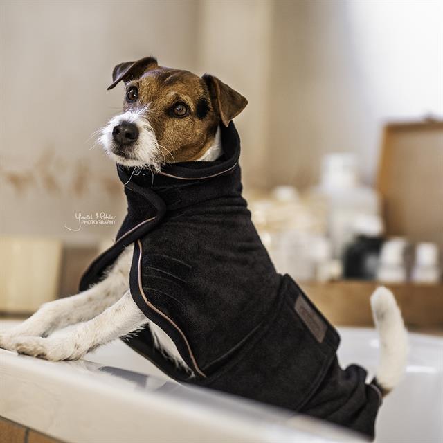 Hondendeken Kentucky Towel Zwart