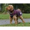 Hondendeken WeatherBeeta ComFiTec Windbreaker Free Donkerrood