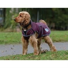 Hondendeken WeatherBeeta ComFiTec Windbreaker Free Donkerrood