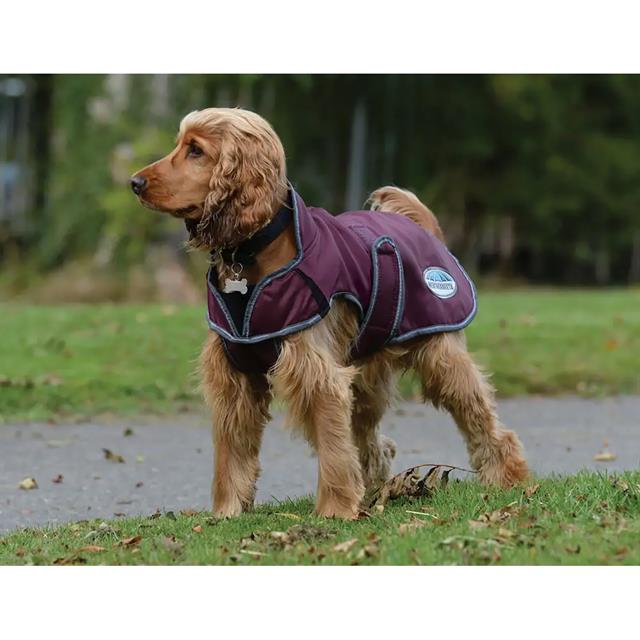 Hondendeken WeatherBeeta ComFiTec Windbreaker Free Donkerrood
