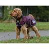 Hondendeken WeatherBeeta ComFiTec Windbreaker Free Donkerrood