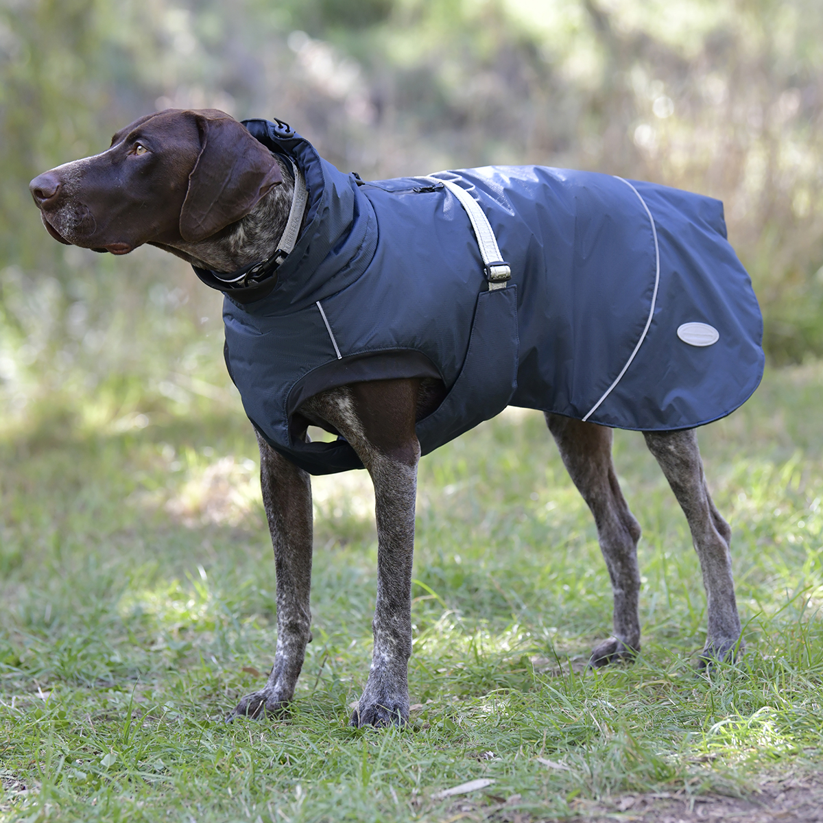 Hondendeken Weatherbeeta Explorer 220gr Donkerblauw, 50 CM in donkerblauw