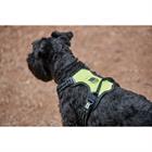 Hondenharnas WeatherBeeta Anti Pull Zwart-geel