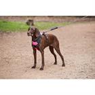 Hondenharnas WeatherBeeta Anti Pull Zwart-roze