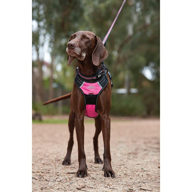 Hondenharnas WeatherBeeta Anti Pull Zwart-roze