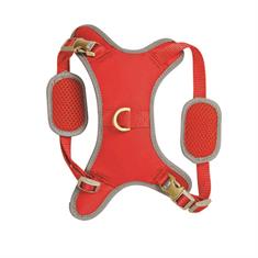 Hondenharnas WeatherBeeta Elegance Rood