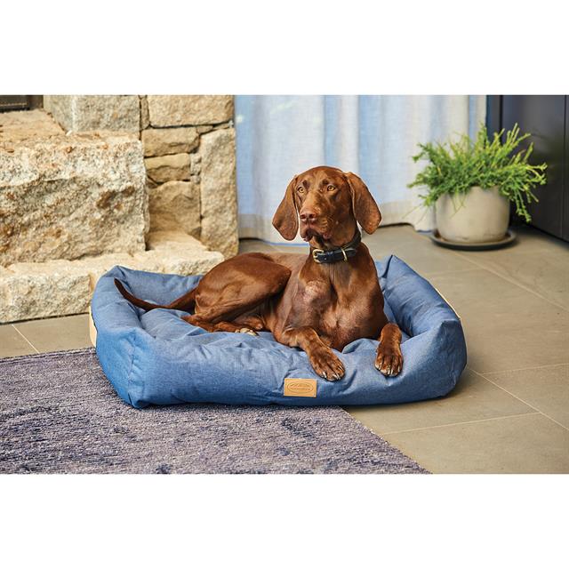 Hondenmand WeatherBeeta Square Middenblauw