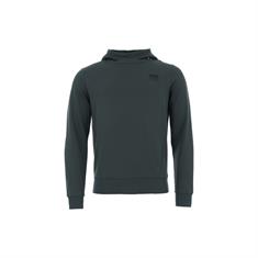 Hoodie Cavallo CAVALEhan Men Groen