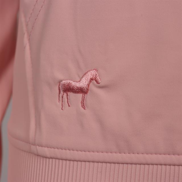 Hoodie ROAN Cycle Four Lichtroze