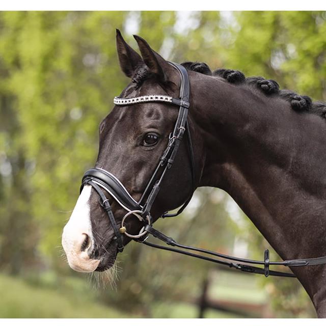 Hoofdstel Anky Comfort Fit Combined Zwart-wit
