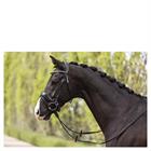 Hoofdstel ANKY Comfort Fit Double Anatomical Zwart