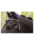 Hoofdstel ANKY Comfort Fit Double Anatomical Zwart