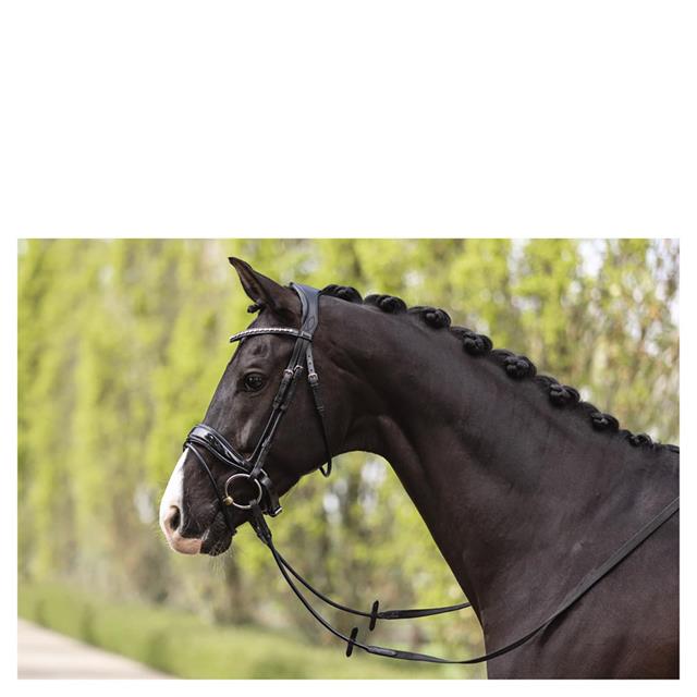 Hoofdstel ANKY Comfort Fit Double Anatomical Zwart
