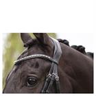 Hoofdstel ANKY Comfort Fit Pullback Noseband Zwart