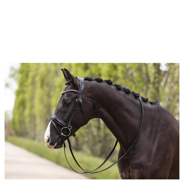 Hoofdstel Anky Comfort Fit Pullback Noseband Zwart