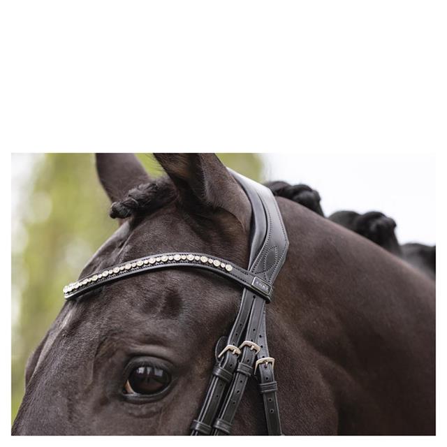 Hoofdstel ANKY Comfort Fit Pullback Noseband Zwart
