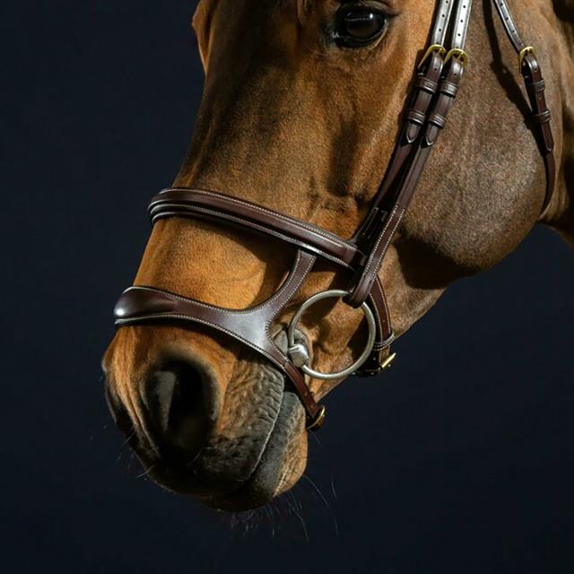 Hoofdstel D Collection by Dy'on Double Noseband Bruin