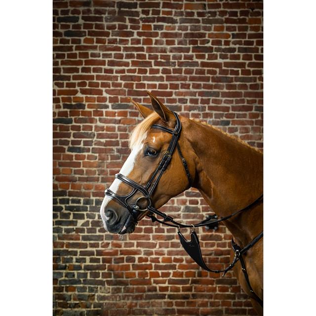 Hoofdstel D Collection by Dy'on Double Noseband Zwart