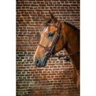 Hoofdstel D Collection by Dy'on Leather Covered Rope Noseband Bruin
