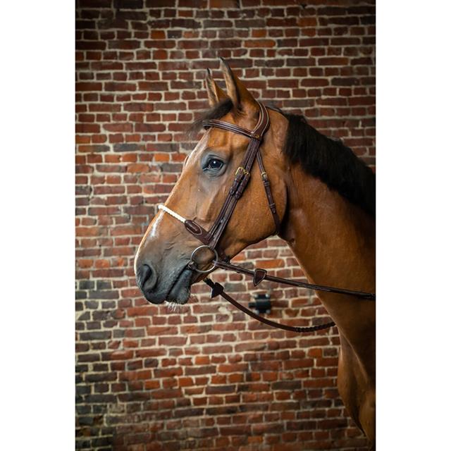 Hoofdstel D Collection by Dy'on Rope Noseband Bruin