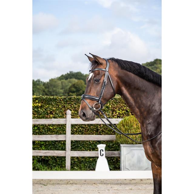 Hoofdstel Dressage Collection by Dy'on Matte Noseband Zwart