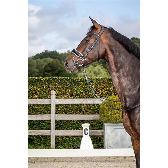 Hoofdstel Dressage Collection by Dy'on Patent Large Crank White Padding Zwart