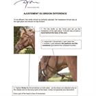 Hoofdstel Dy'on Difference Zwart