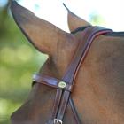 Hoofdstel Dy'on DRC Matte Medium Crank Noseband Bruin