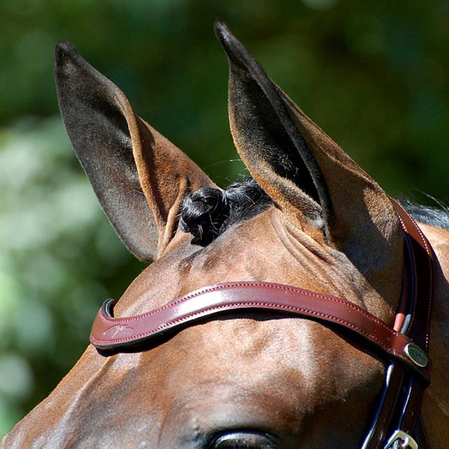 Hoofdstel Dy'on DRC Matte Medium Crank Noseband Bruin