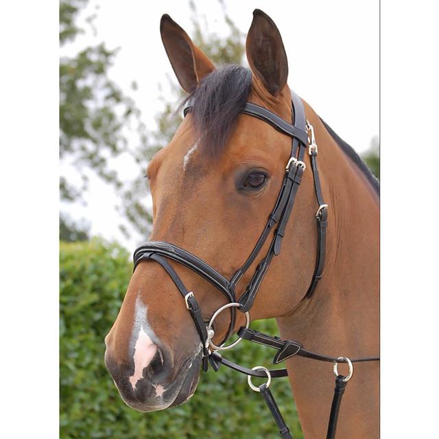 Hoofdstel Dy'on Working Collection Flash Noseband With Snap Hooks Zwart