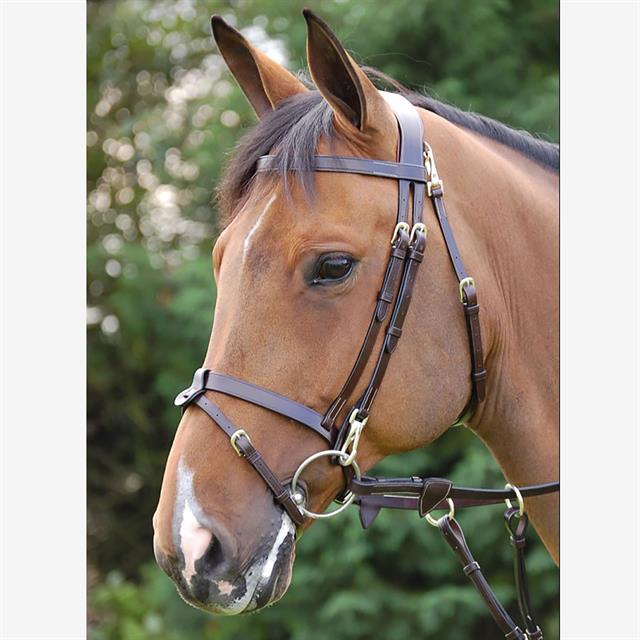 Hoofdstel Dy'on Working Collection Flat Leather With Snap Hooks Bruin
