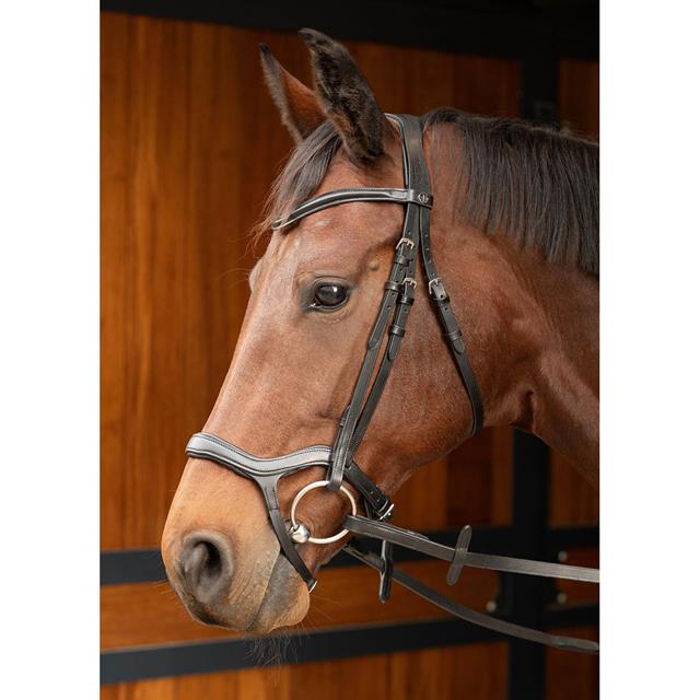 Hoofdstel Harry's Horse Anatomic Zwart