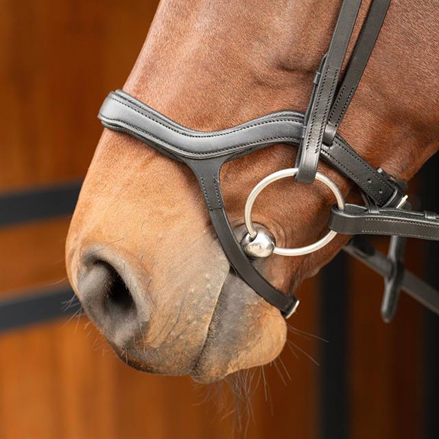 Hoofdstel Harry's Horse Anatomic Zwart