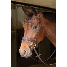 Hoofdstel Harry's Horse Havanna Navy Bruin