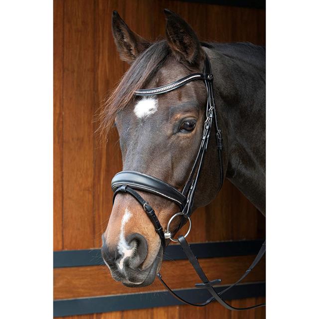 Hoofdstel Harry's Horse Petit Crystal Zwart